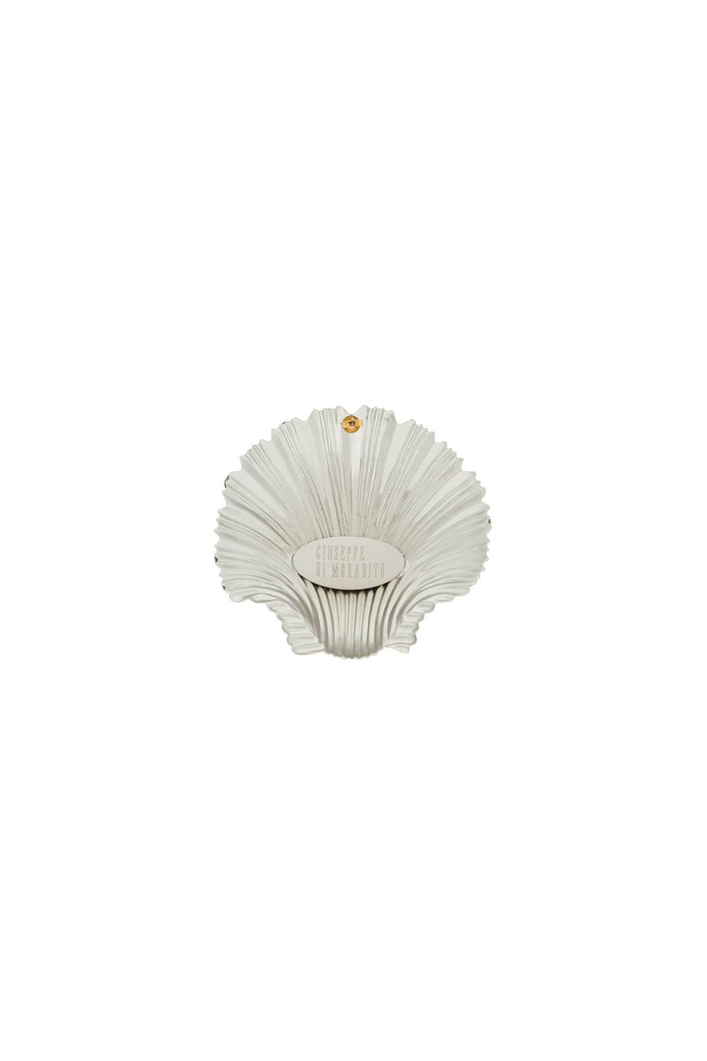 "single seashell earring with-1