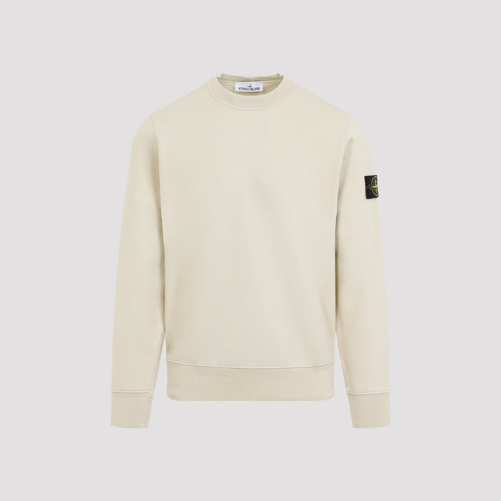 Plaster Cotton Sweatshirt-0