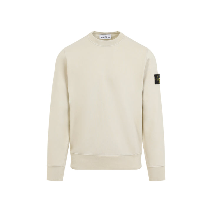 Plaster Cotton Sweatshirt-1