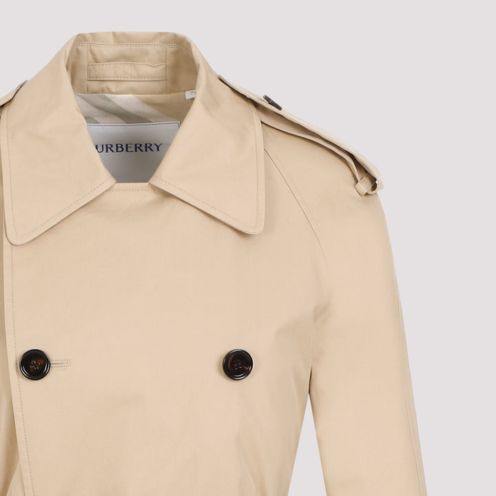 Flax Beige Cotton Trench-4