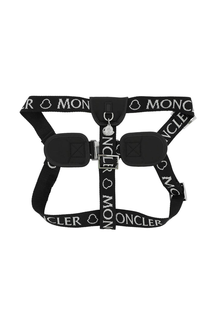 branded webbing harness-1