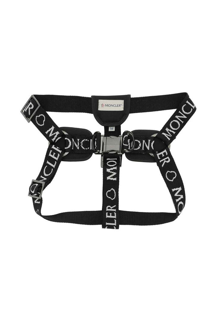 branded webbing harness-0