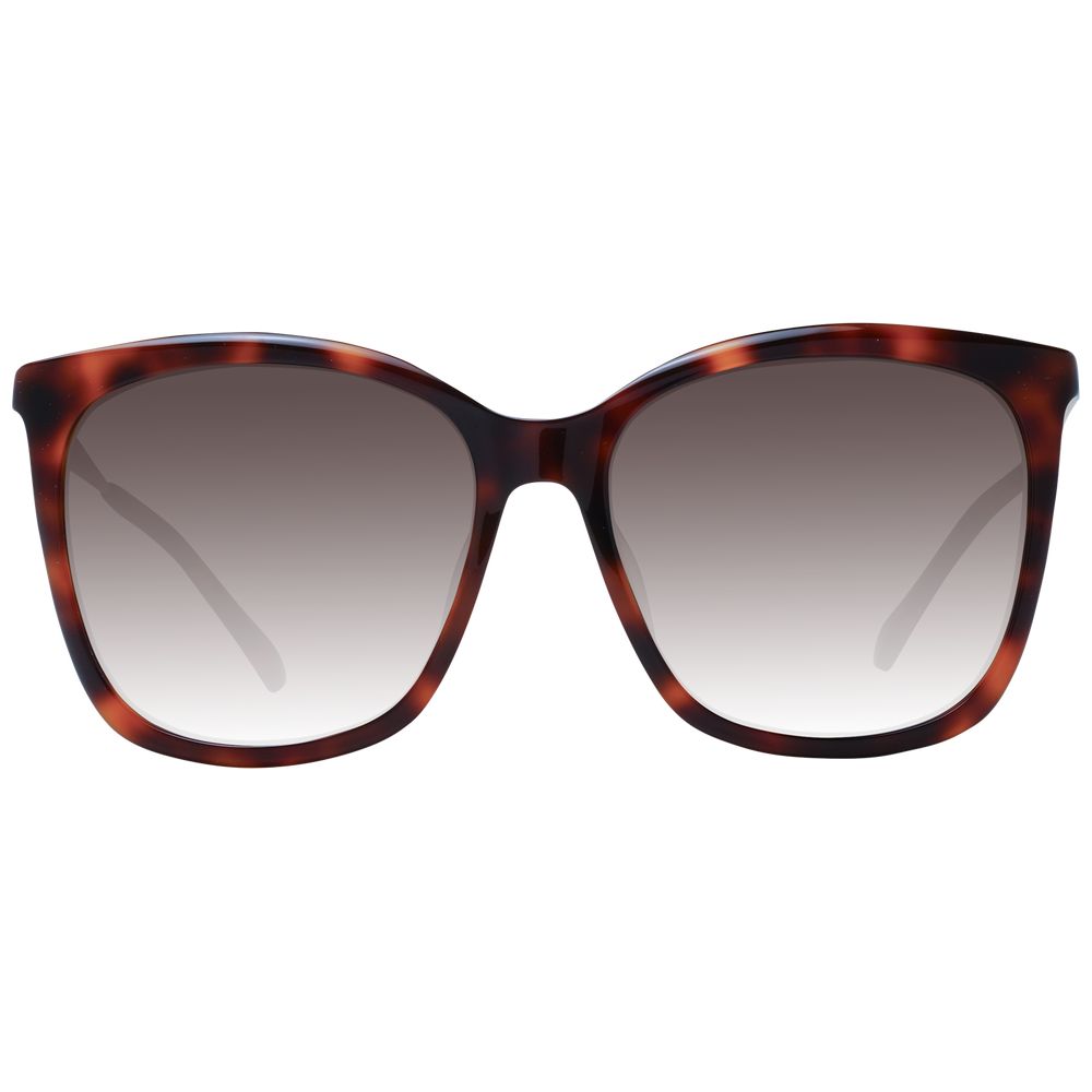 Brown Women Sunglasses