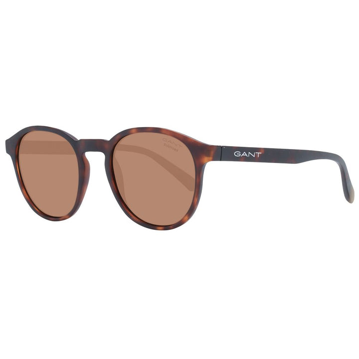 Brown Men Sunglasses