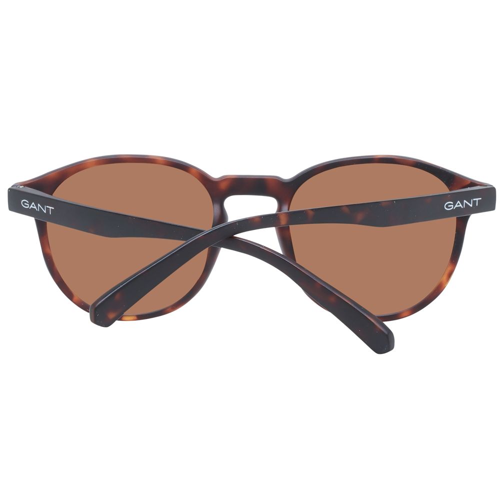 Brown Men Sunglasses