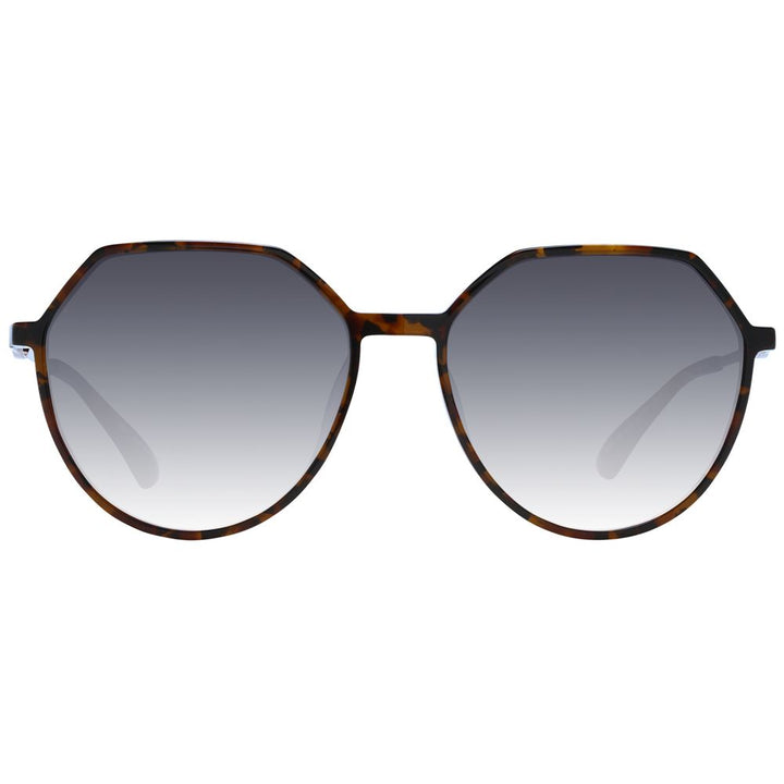 Brown Women Sunglasses