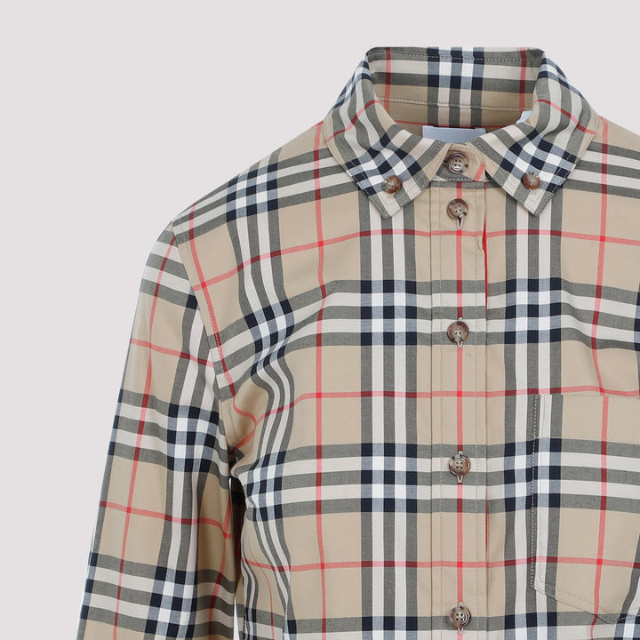 Archive Beige Cotton Lapwig Check Shirt-5