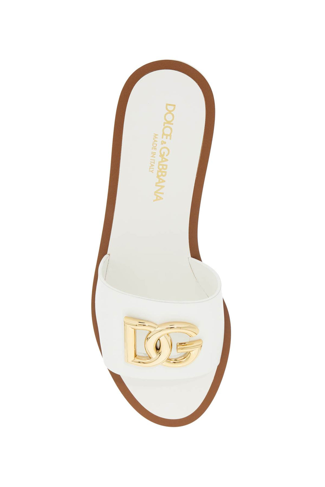 white dg logo slides with 8-1