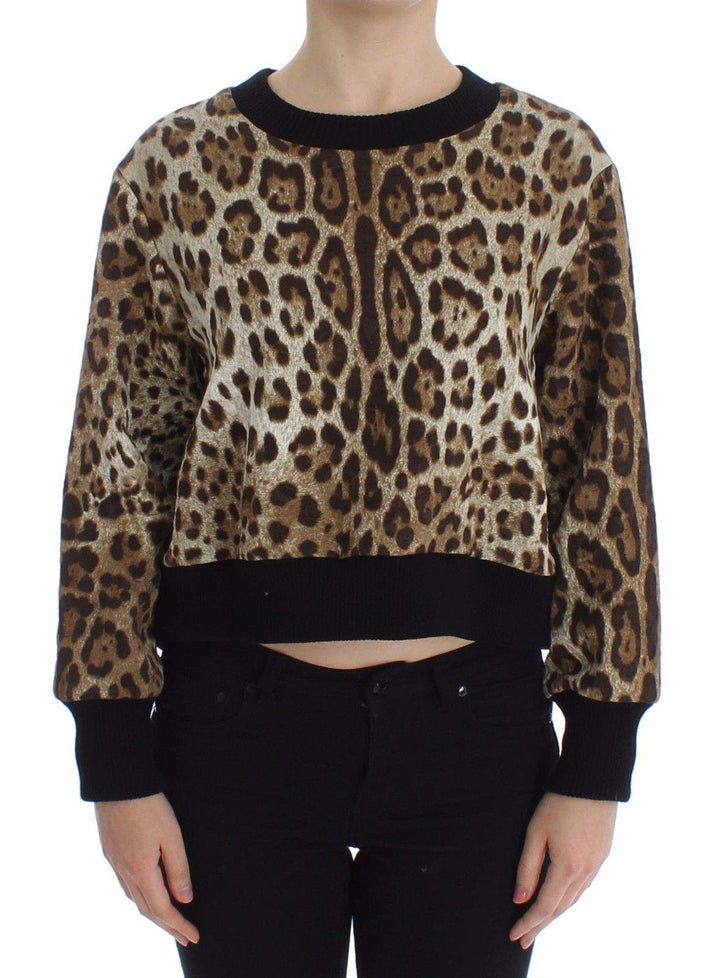 Dolce & Gabbana  Leopard Print Crewneck Short Sweater #women, Brand_Dolce & Gabbana, Brown, Catch, Dolce & Gabbana, feed-agegroup-adult, feed-color-brown, feed-gender-female, feed-size-IT44|L, Gender_Women, IT44|L, Kogan, Sweaters - Women - Clothing at SEYMAYKA