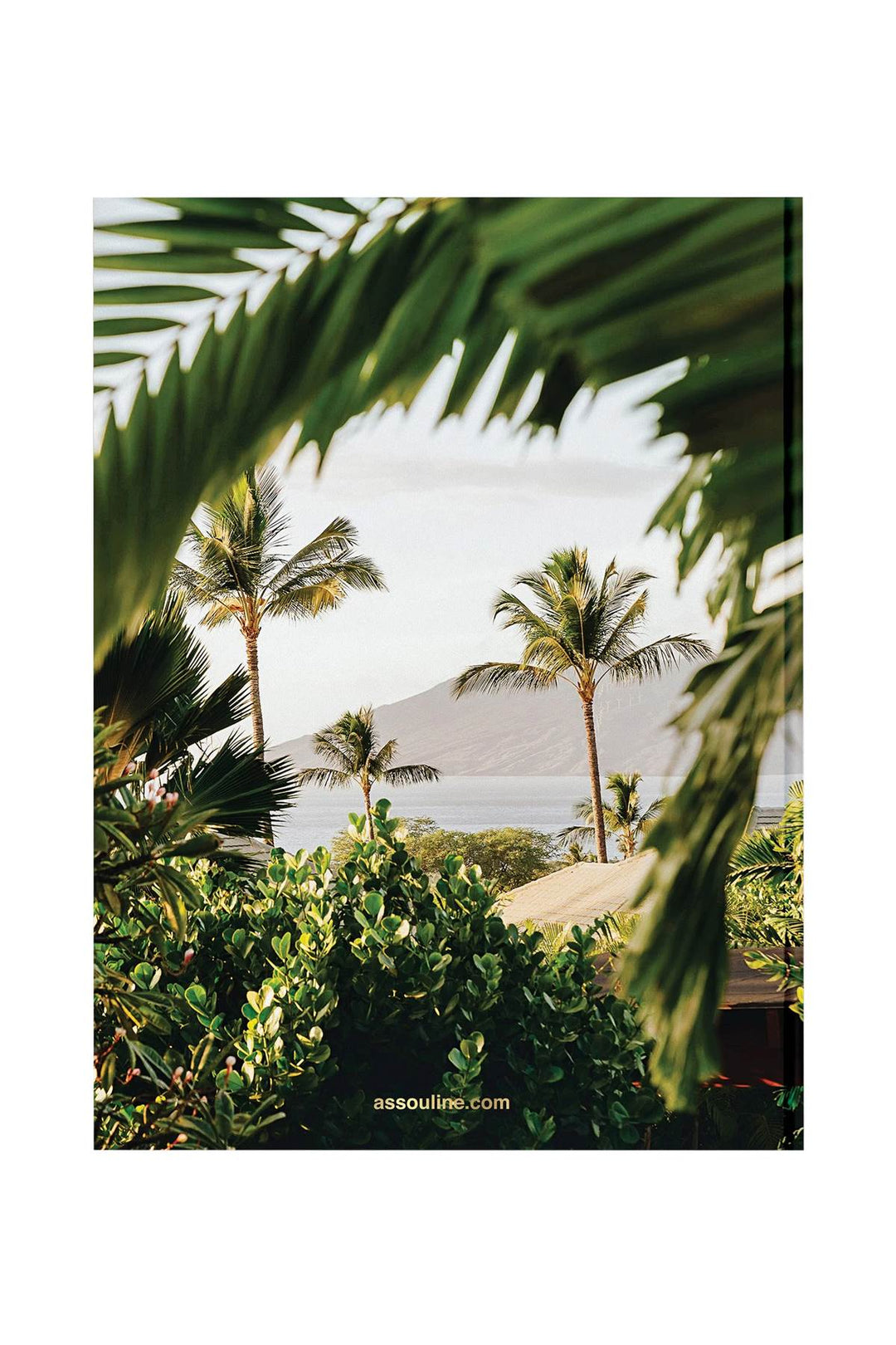 Assouline wailea hotel-1