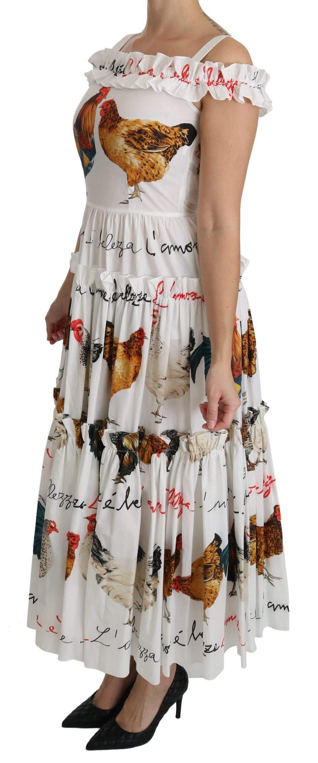 Dolce & Gabbana White Rooster Sheath Midi Cotton Dress #women, Brand_Dolce & Gabbana, Catch, Clothing_Dress, Dolce & Gabbana, Dresses - Women - Clothing, feed-agegroup-adult, feed-color-white, feed-gender-female, feed-size-IT38|XS, feed-size-IT40|S, feed-size-IT42|M, feed-size-IT44|L, Gender_Women, IT38|XS, IT40|S, IT42|M, IT44|L, Kogan, White, Women - New Arrivals at SEYMAYKA