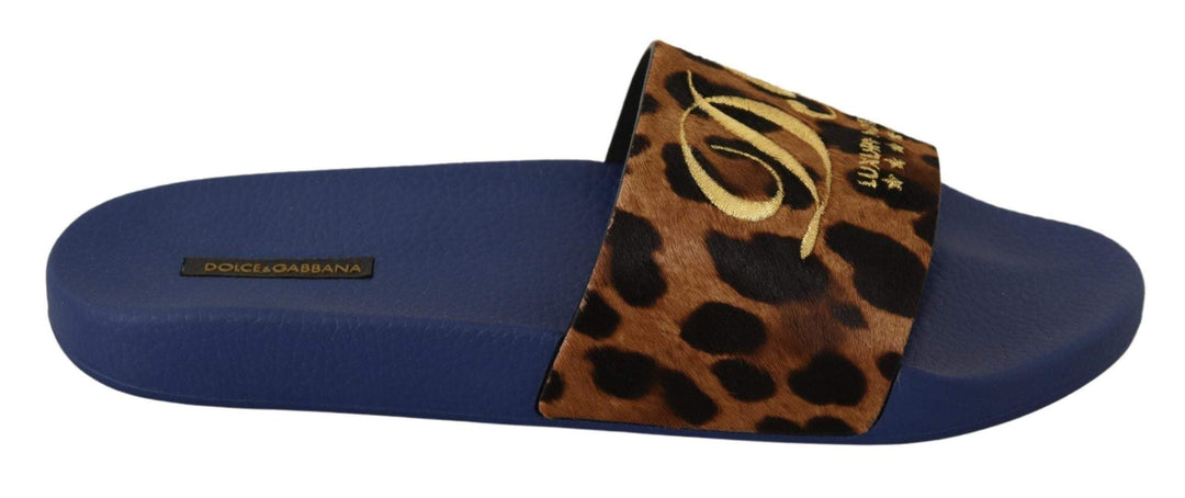 Dolce & Gabbana Blue Brown Leopard Logo Rubber Slides Slippers Shoes Blue, Dolce & Gabbana, EU44/US11, feed-agegroup-adult, feed-color-Blue, feed-gender-female, Sandals - Women - Shoes at SEYMAYKA