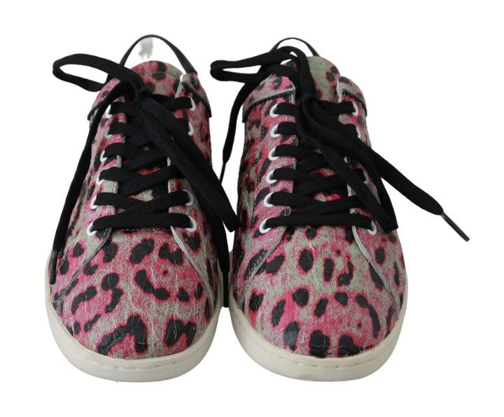 Dolce & Gabbana Pink Leopard Print Training Leather Flat Sneakers #women, Dolce & Gabbana, EU42/US9, feed-agegroup-adult, feed-color-multicolor, feed-gender-female, feed-size-US9, Multicolor, Shoes - New Arrivals, Sneakers - Women - Shoes at SEYMAYKA