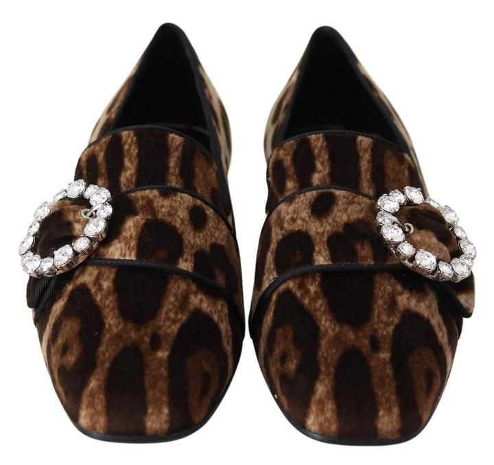 Dolce & Gabbana Brown Leopard Print Crystals Loafers Flats Shoes #women, Brand_Dolce & Gabbana, Brown, Dolce & Gabbana, EU35/US4.5, EU37.5/US7, feed-agegroup-adult, feed-color-brown, feed-gender-female, feed-size-US4.5, feed-size-US7, Flat Shoes - Women - Shoes, Gender_Women, Shoes - New Arrivals at SEYMAYKA