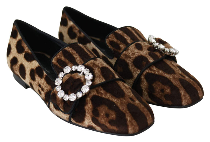 Dolce & Gabbana Brown Leopard Print Crystals Loafers Flats Shoes #women, Brand_Dolce & Gabbana, Brown, Dolce & Gabbana, EU35/US4.5, EU37.5/US7, feed-agegroup-adult, feed-color-brown, feed-gender-female, feed-size-US4.5, feed-size-US7, Flat Shoes - Women - Shoes, Gender_Women, Shoes - New Arrivals at SEYMAYKA