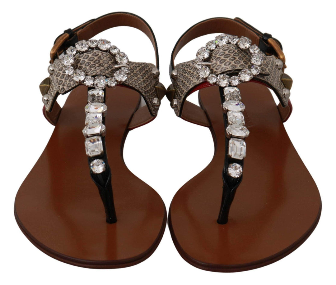 Dolce & Gabbana  Leather Ayers Crystal Sandals Flip Flops Shoes #women, Brand_Dolce & Gabbana, Brown, Catch, Category_Shoes, Dolce & Gabbana, EU35/US4.5, EU36/US5.5, EU39.5/US9, EU40.5/US10, feed-agegroup-adult, feed-color-brown, feed-gender-female, feed-size-US4.5, feed-size-US5.5, Flat Shoes - Women - Shoes, Gender_Women, Kogan, Shoes - New Arrivals at SEYMAYKA