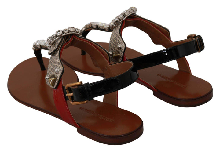 Dolce & Gabbana  Leather Ayers Crystal Sandals Flip Flops Shoes #women, Brand_Dolce & Gabbana, Brown, Catch, Category_Shoes, Dolce & Gabbana, EU35/US4.5, EU36/US5.5, EU39.5/US9, EU40.5/US10, feed-agegroup-adult, feed-color-brown, feed-gender-female, feed-size-US4.5, feed-size-US5.5, Flat Shoes - Women - Shoes, Gender_Women, Kogan, Shoes - New Arrivals at SEYMAYKA