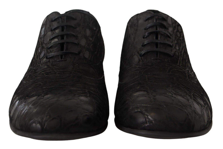 Dolce & Gabbana Black Caiman Leather  Oxford Shoes #men, Black, Dolce & Gabbana, EU44/US11, feed-1, Formal - Men - Shoes, Sweaters - Men - Clothing at SEYMAYKA