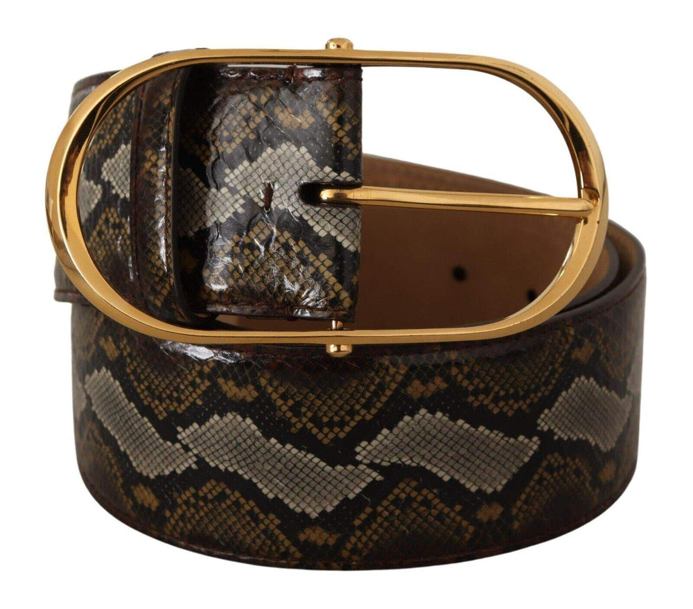 Dolce & Gabbana Brown Python Leather Gold Oval Buckle Belt 80 cm / 32 Inches, Belts - Women - Accessories, Brown, Dolce & Gabbana, feed-1 at SEYMAYKA