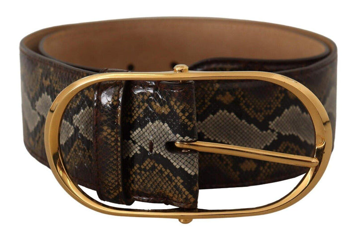 Dolce & Gabbana Brown Python Leather Gold Oval Buckle Belt 80 cm / 32 Inches, Belts - Women - Accessories, Brown, Dolce & Gabbana, feed-1 at SEYMAYKA