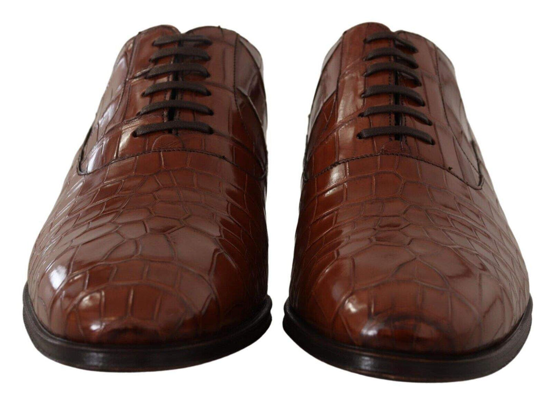 Dolce & Gabbana Brown Crocodile Leather  Formal Derby Shoes #men, Brown, Dolce & Gabbana, EU44/US11, feed-1, Formal - Men - Shoes at SEYMAYKA