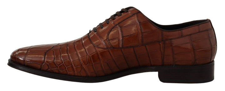 Dolce & Gabbana Brown Crocodile Leather  Formal Derby Shoes #men, Brown, Dolce & Gabbana, EU44/US11, feed-1, Formal - Men - Shoes at SEYMAYKA